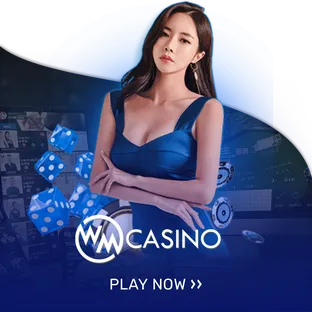 WM casino-superslot wallet