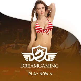 dream gaming-superslot wallet